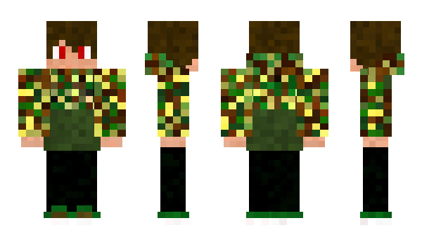 Minecraft skin wave221