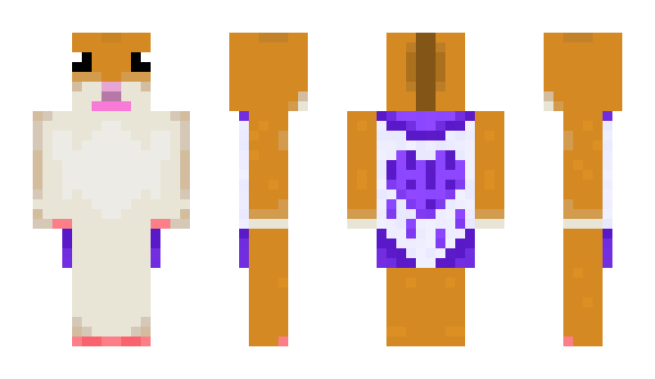 Minecraft skin warzay