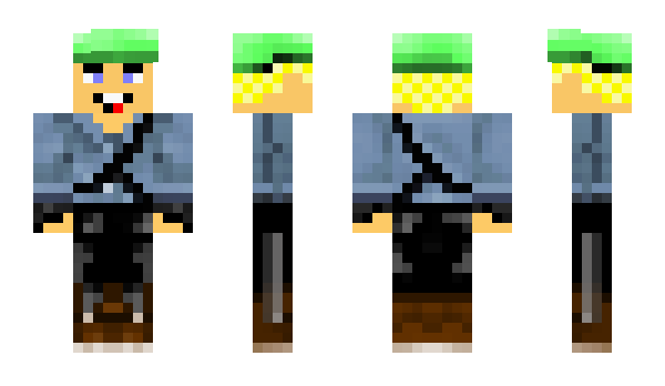 Minecraft skin Sincor