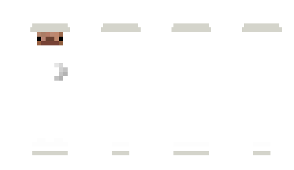 Minecraft skin Werkku