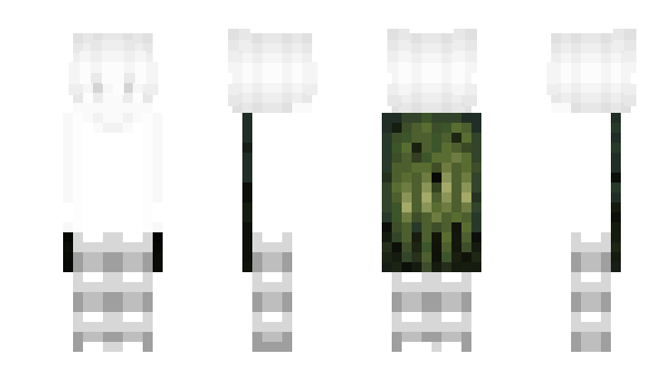 Minecraft скин по нику kakaebro