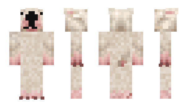 Minecraft skin d3ci