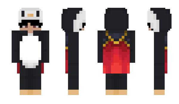 Minecraft skin SebUb