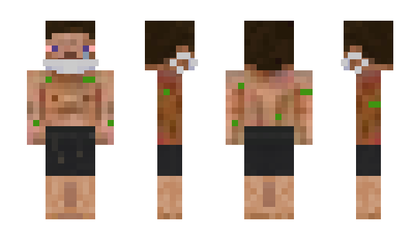 Minecraft skin Warferr