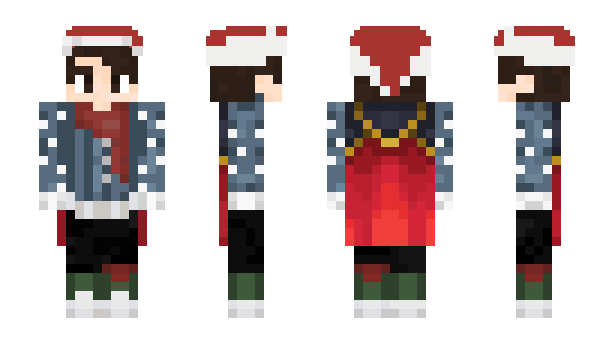 Minecraft skin Guull