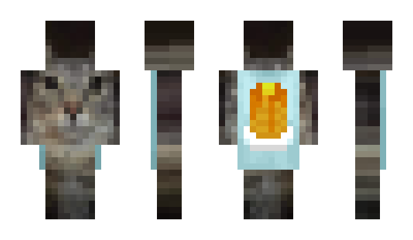 Minecraft skin rare67