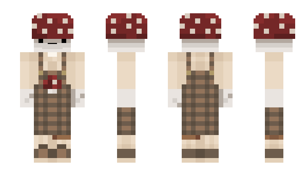 Minecraft skin akmola