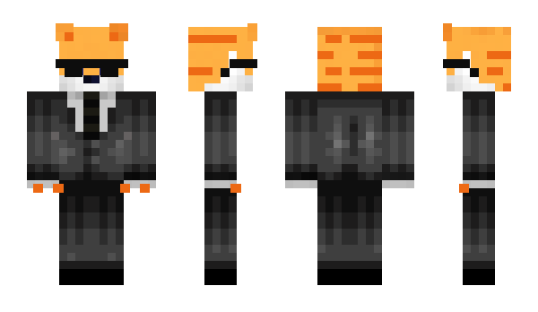 Minecraft skin tiger10