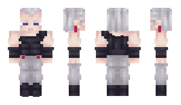 Minecraft skin Polnaref