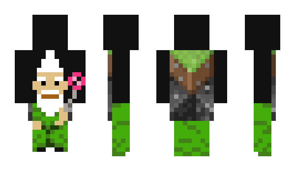 Minecraft skin Envitality