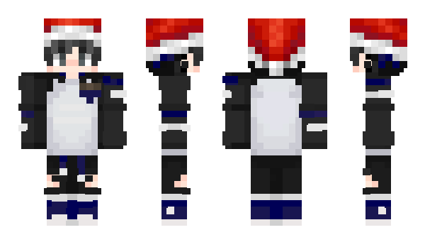 Minecraft skin TikTokX
