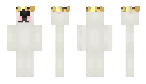 Minecraft skin 2nfg