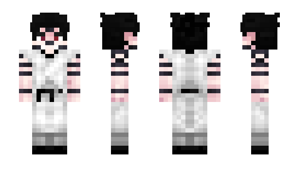 Minecraft skin Arsxels