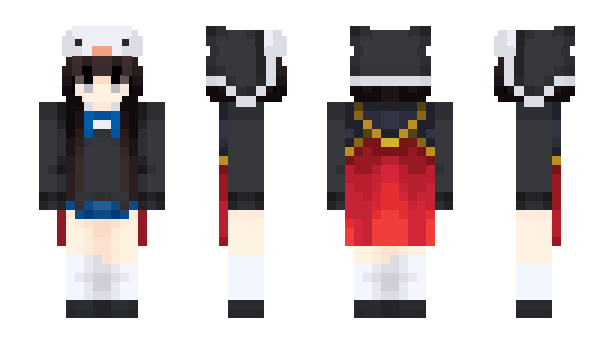 Minecraft skin CNWE
