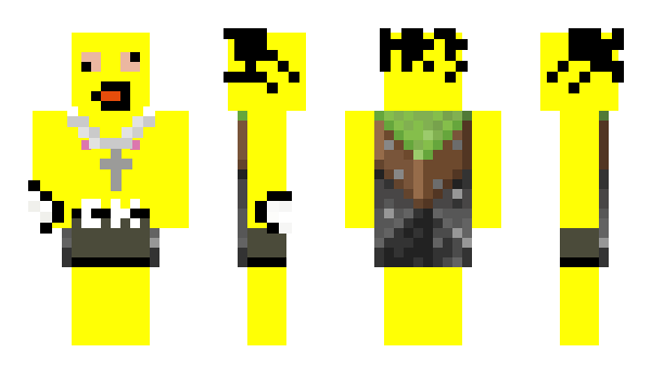 Minecraft skin prgic