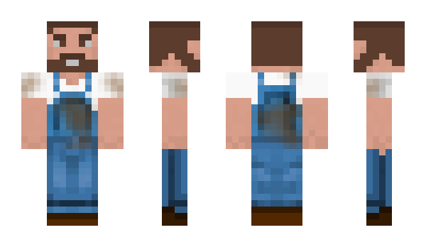 Minecraft skin Neipon