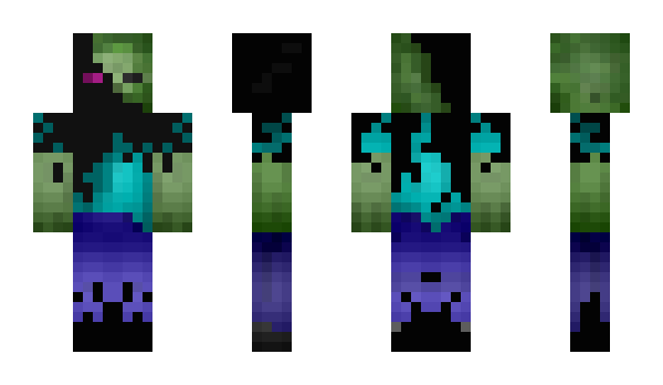 Minecraft skin robbin