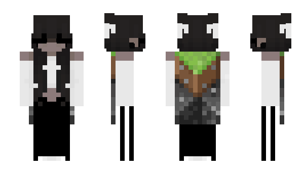 Minecraft skin FabNyra