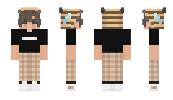 Minecraft skin Soepketel