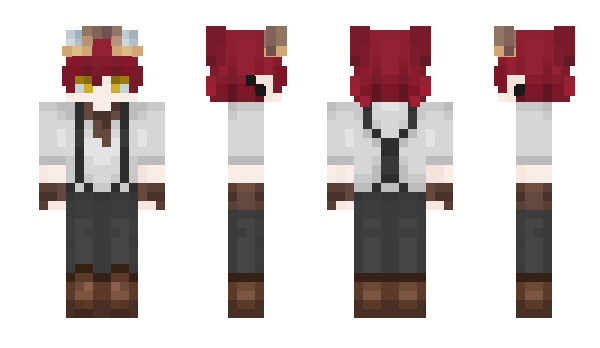 Minecraft skin Zascu