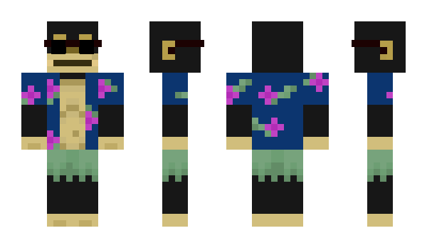 Minecraft skin Coaie