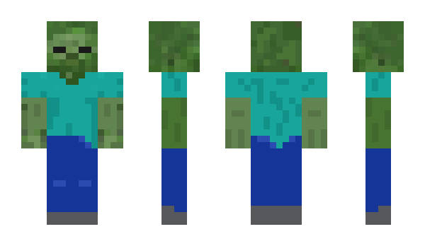 Minecraft skin tailorcecil