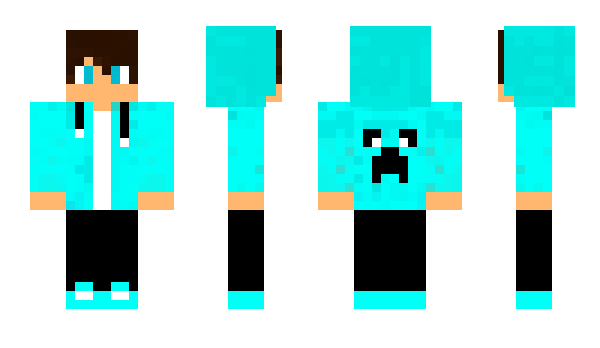 Minecraft skin Segberts