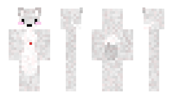 Minecraft skin C6R