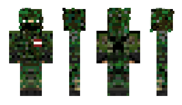 Minecraft skin _Pascal_D