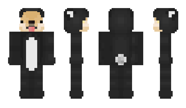 Minecraft skin waltern