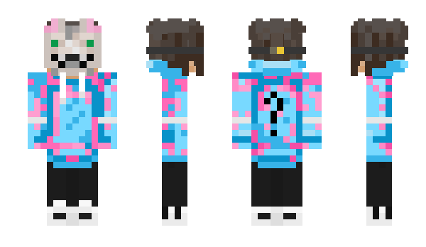 Minecraft skin Bria