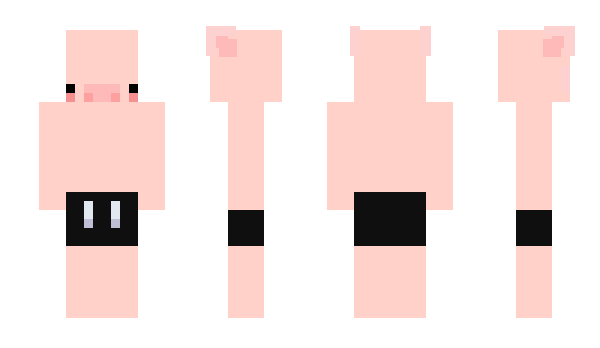 Minecraft skin PigPon