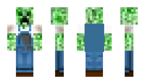 Minecraft skin Zlayt