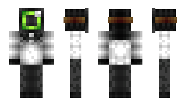 Minecraft skin Wassaka