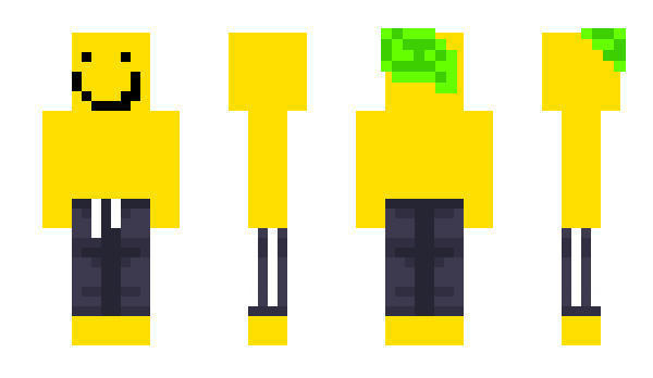 Minecraft skin p1NnG1