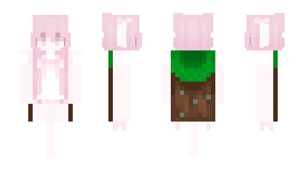 Minecraft skin ZongHuaMC