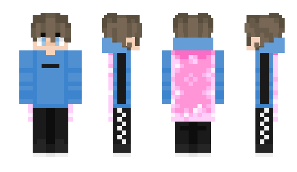 Minecraft skin MankEis