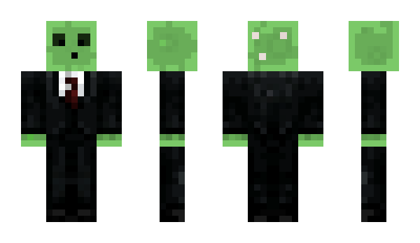 Minecraft skin starrytime