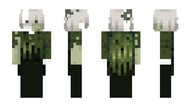 Minecraft скін по ніку Muitos