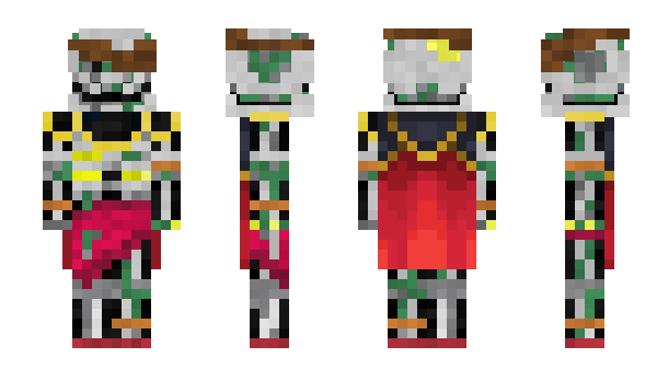 Minecraft skin npcguy