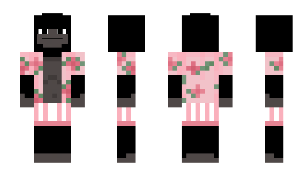 Minecraft skin ManToar