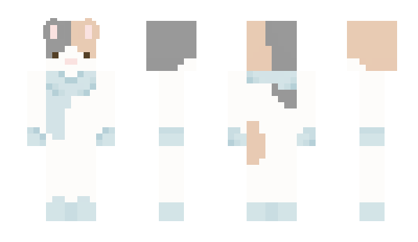 Minecraft skin restins