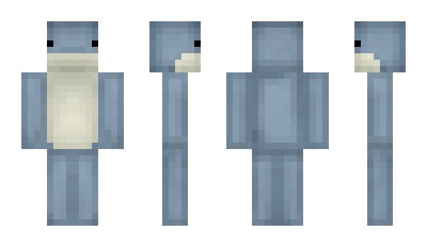 Minecraft skin VanCastle