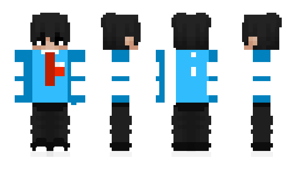 Minecraft skin Naplr
