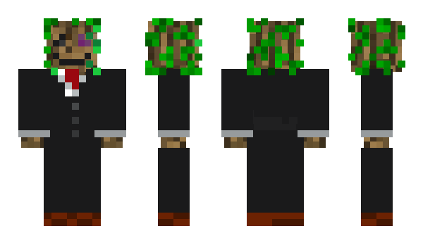 Minecraft skin Bushick