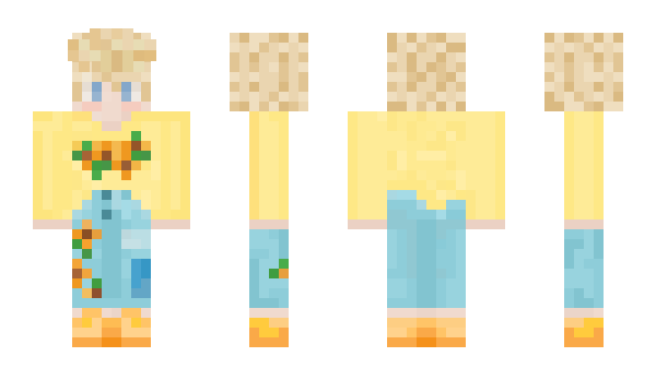 Minecraft skin Swashey