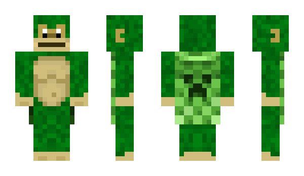 Minecraft skin 1vb