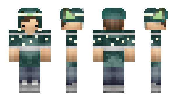 Minecraft skin Venturin