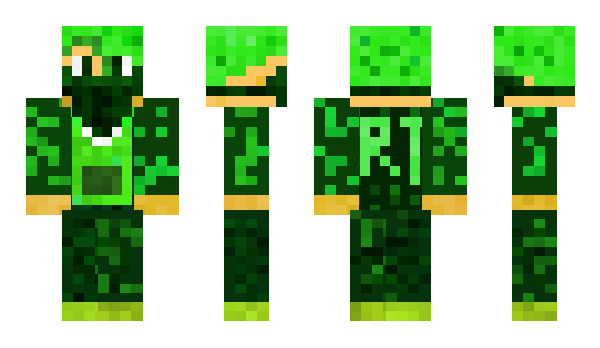 Minecraft skin SimPom