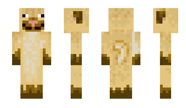 Minecraft skin puggle